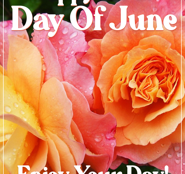 Happy June!!